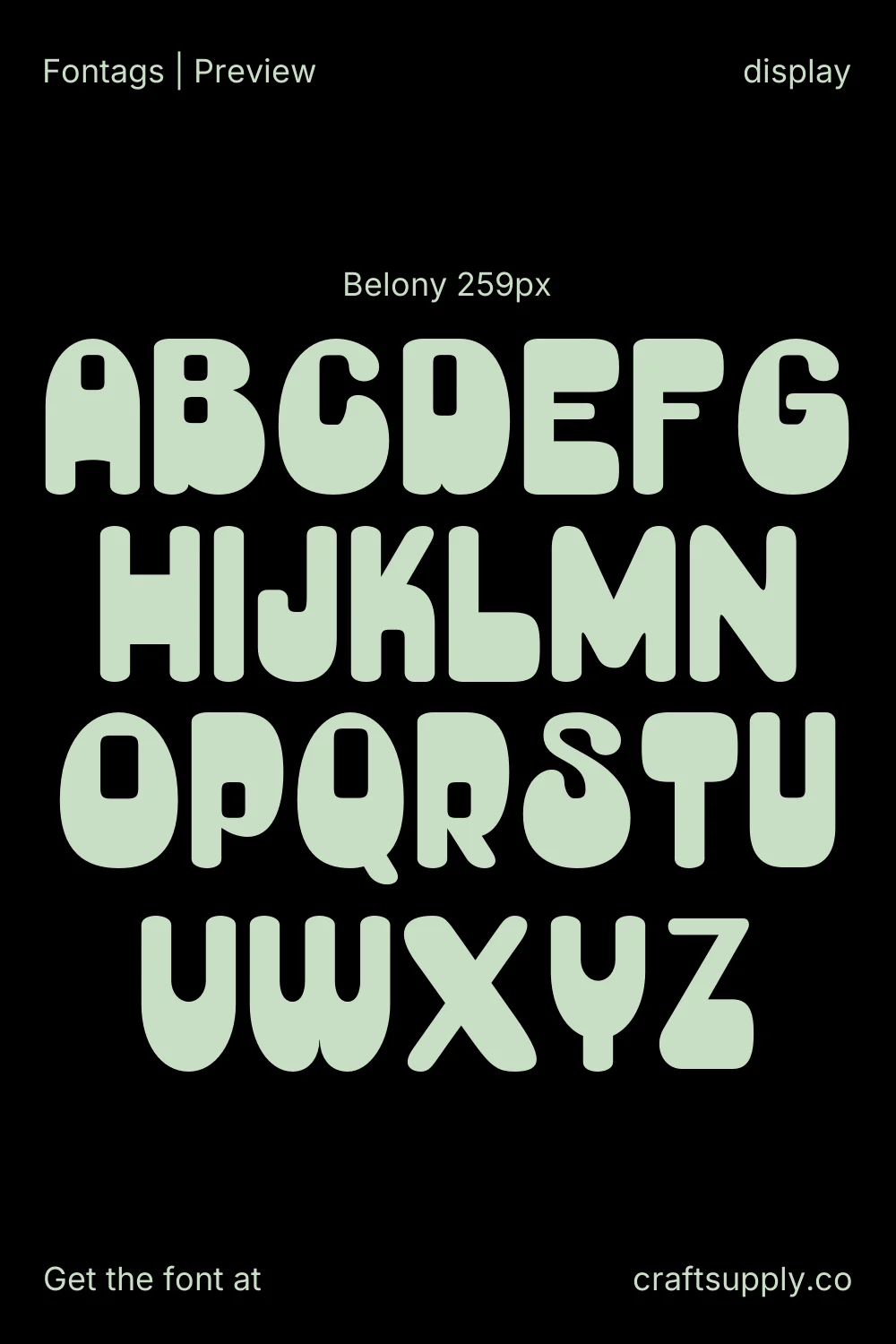 Belony specimen 2