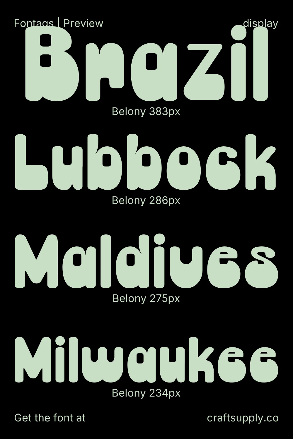 Belony specimen 4