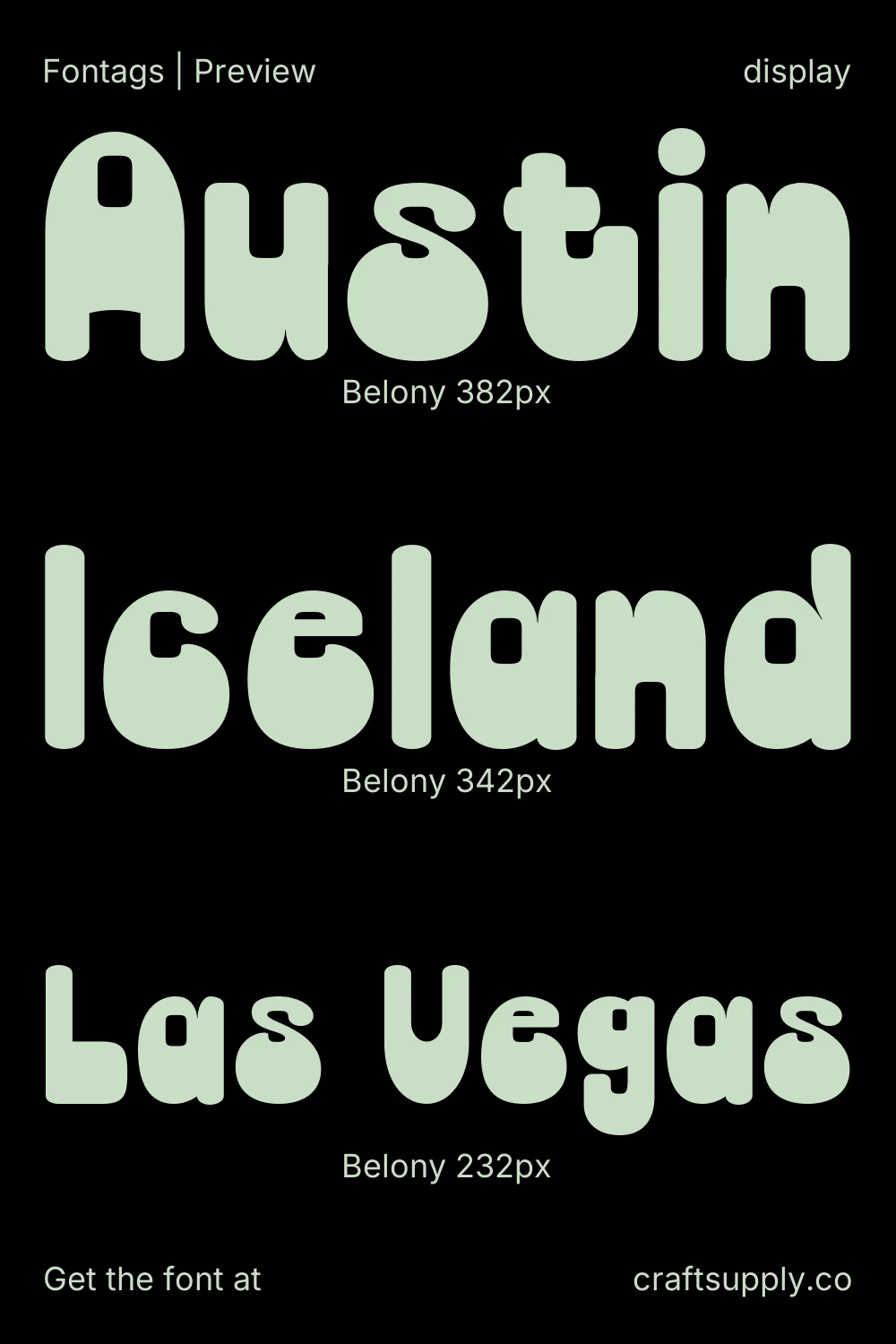 Belony specimen 5