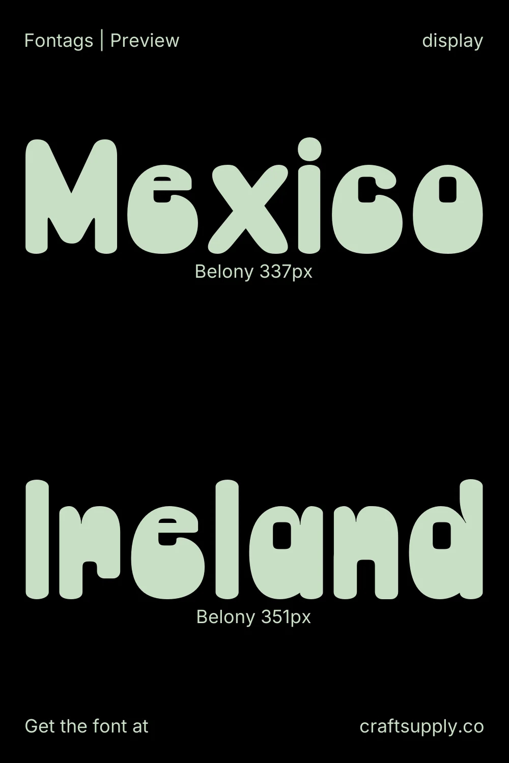 Belony specimen 6