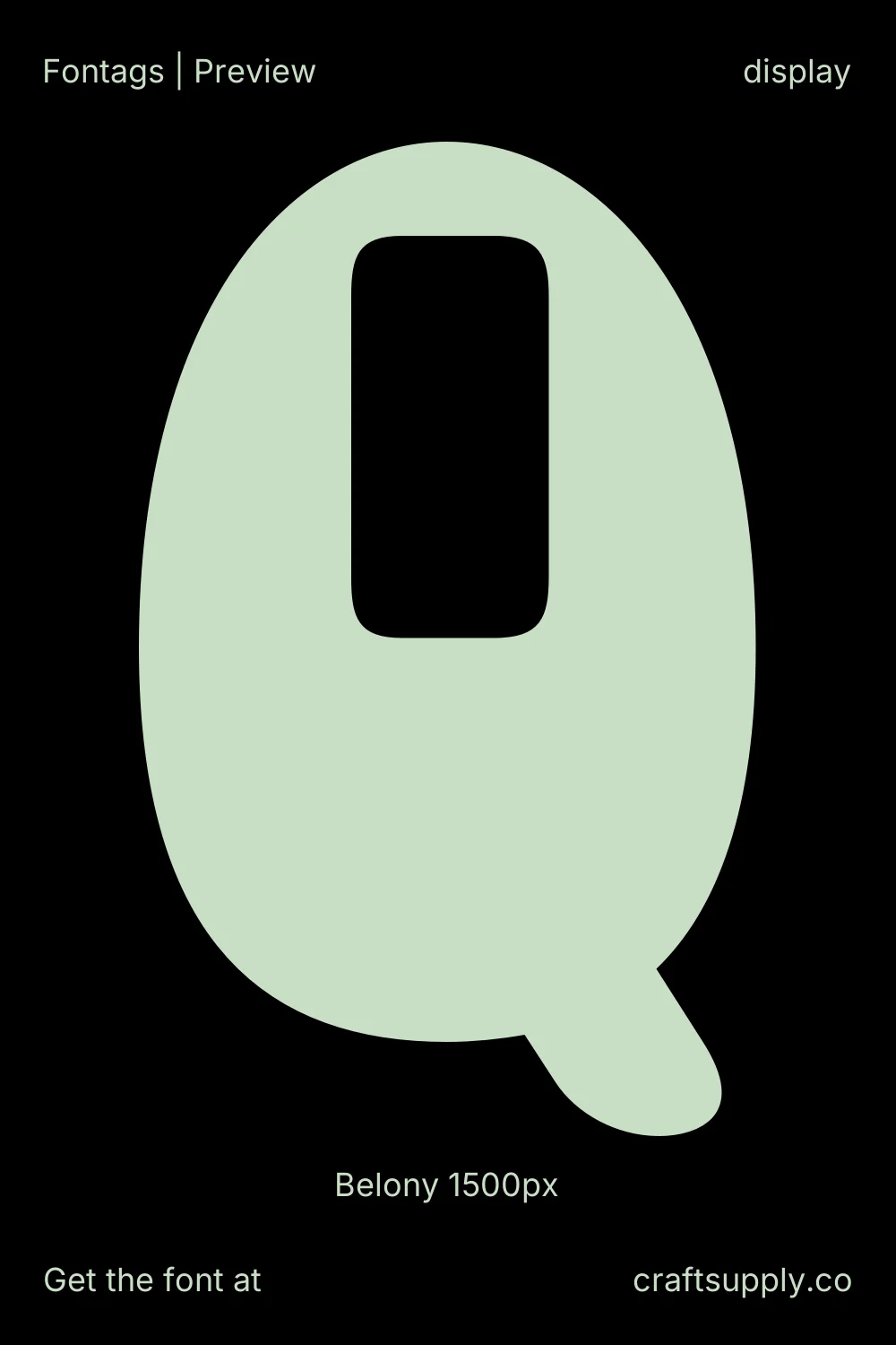 Belony specimen 7