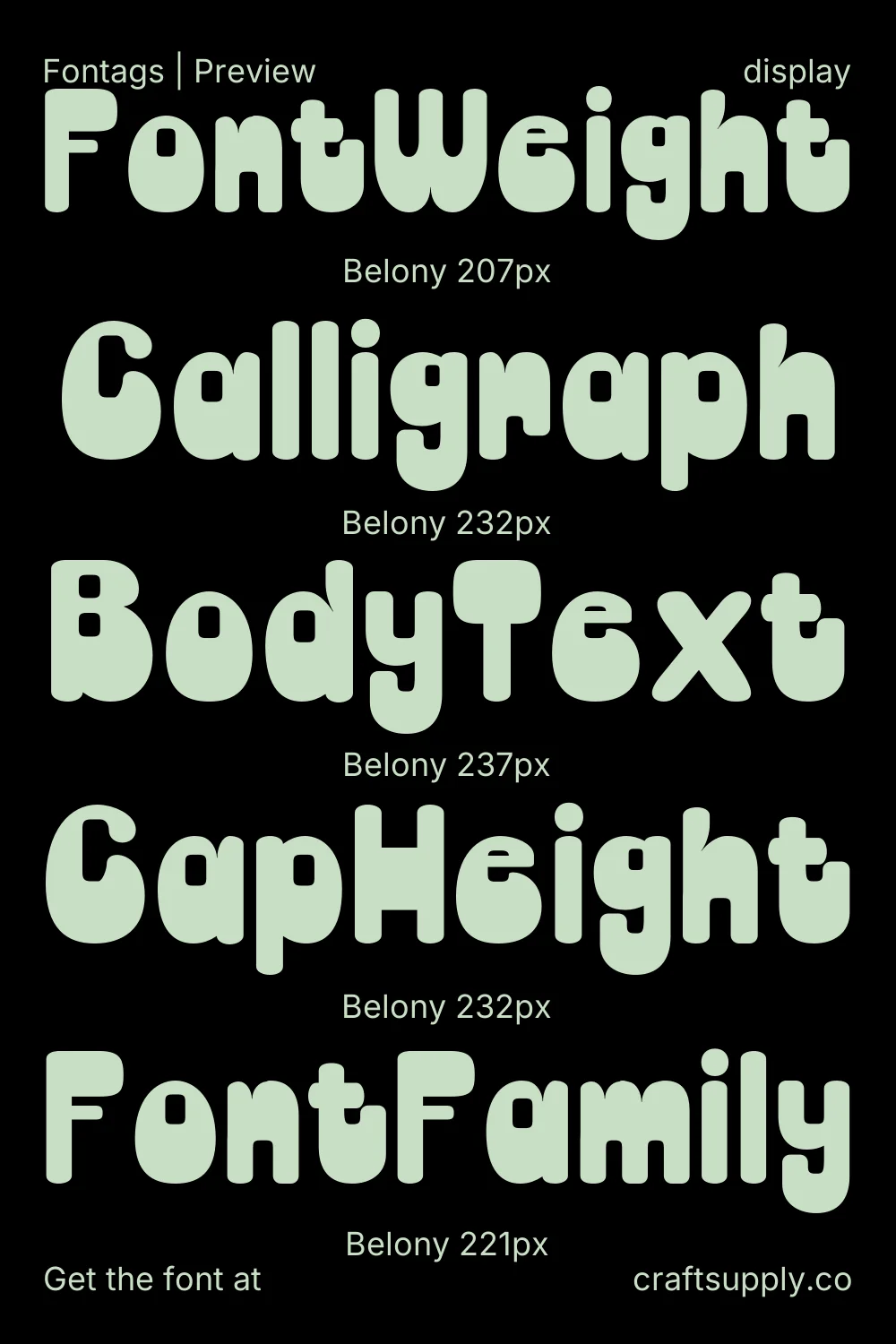 Belony specimen 9
