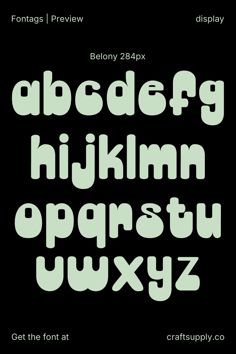 Belony specimen 10