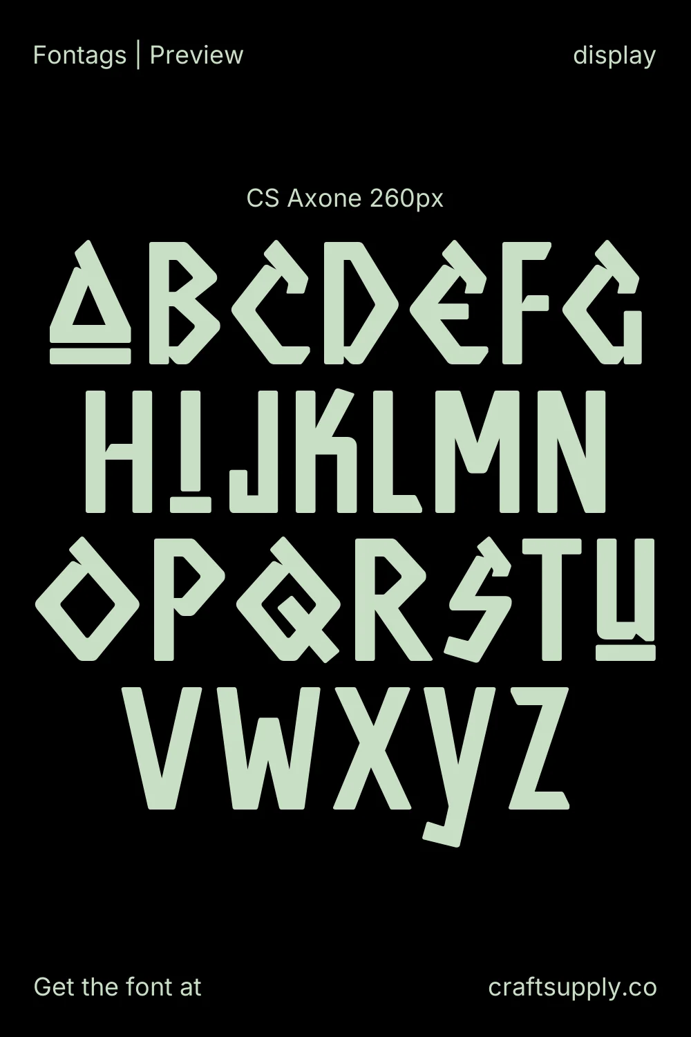 CS Axone specimen 2