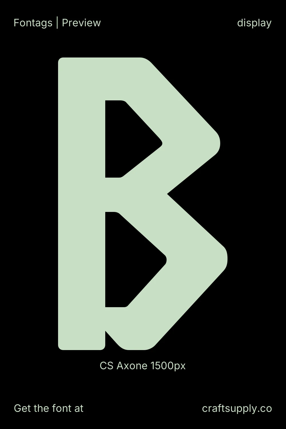 CS Axone specimen 7