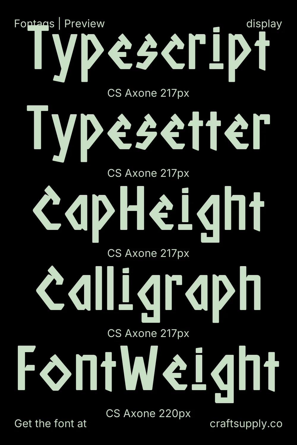 CS Axone specimen 9