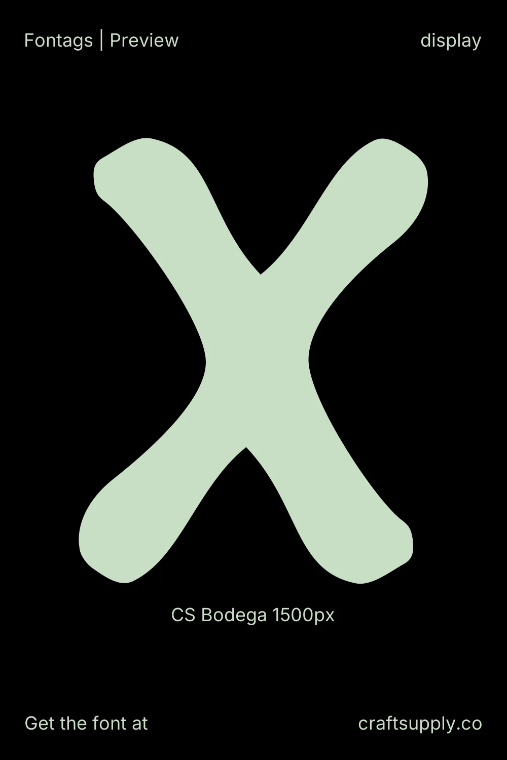 CS Bodega specimen 7