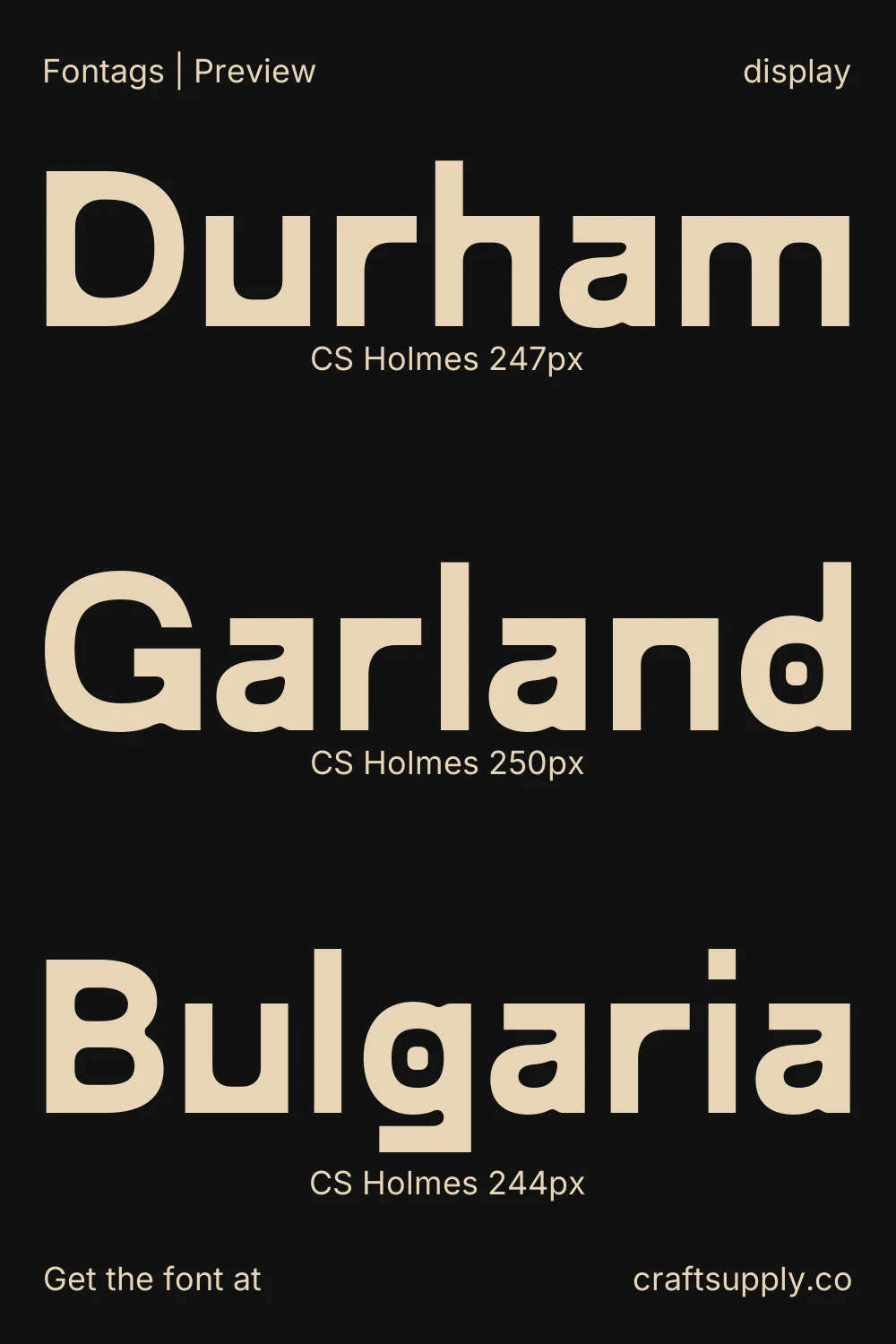 CS Holmes specimen 5