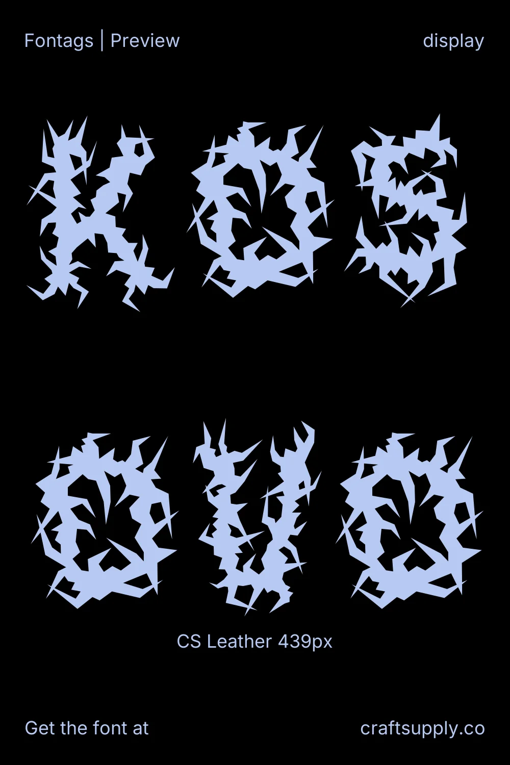 CS Leather specimen 3
