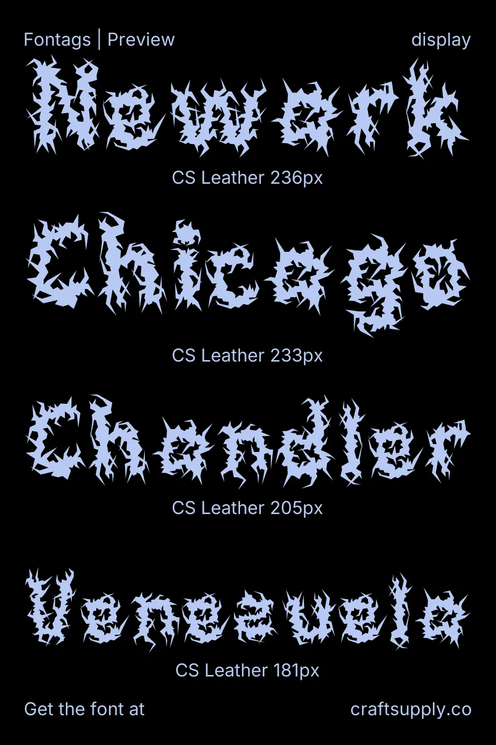 CS Leather specimen 4
