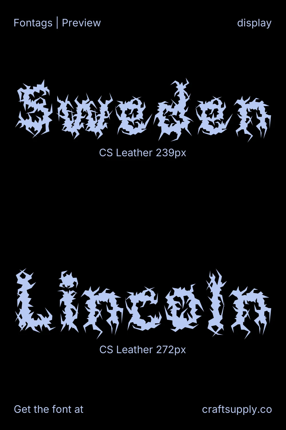 CS Leather specimen 6