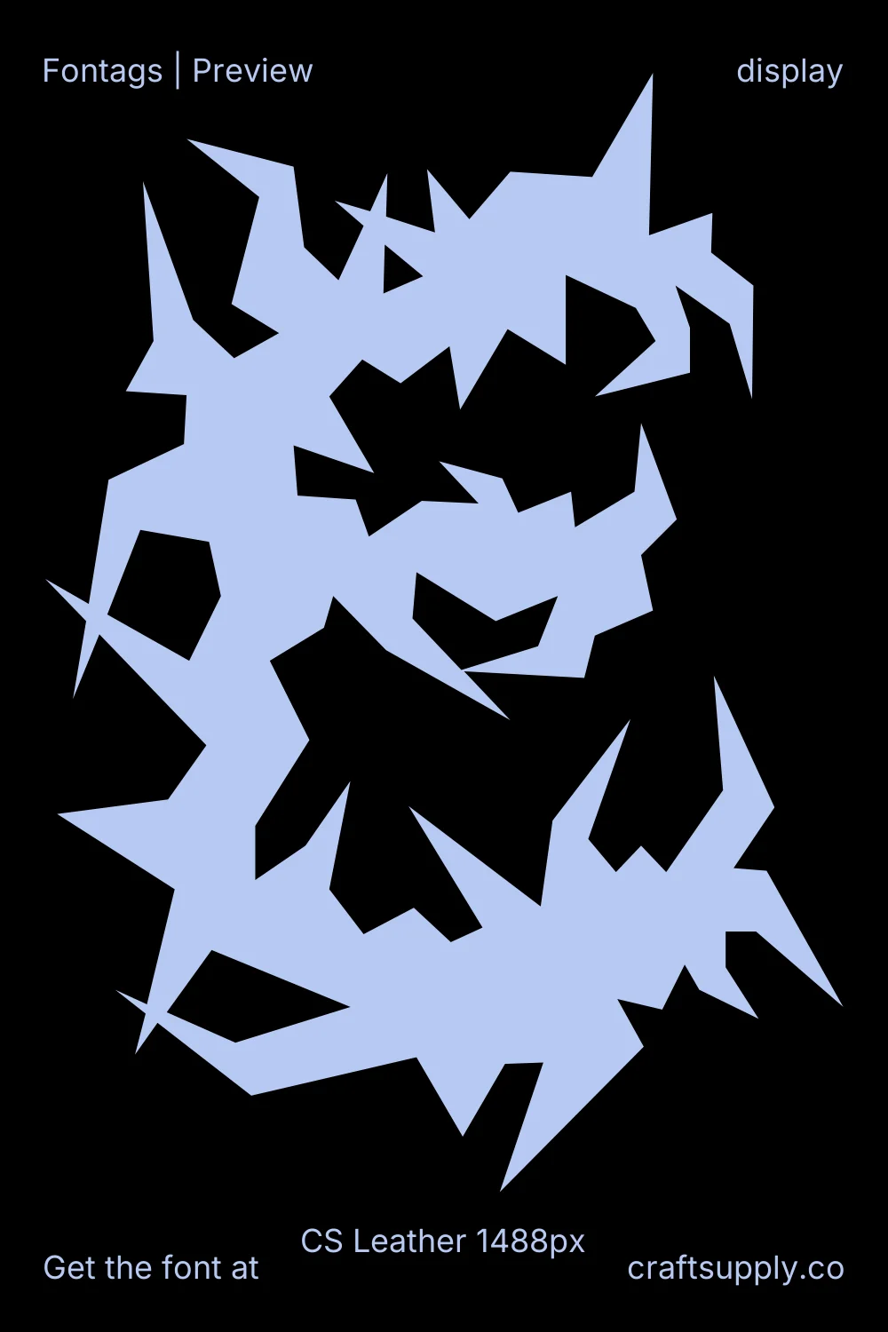 CS Leather specimen 7