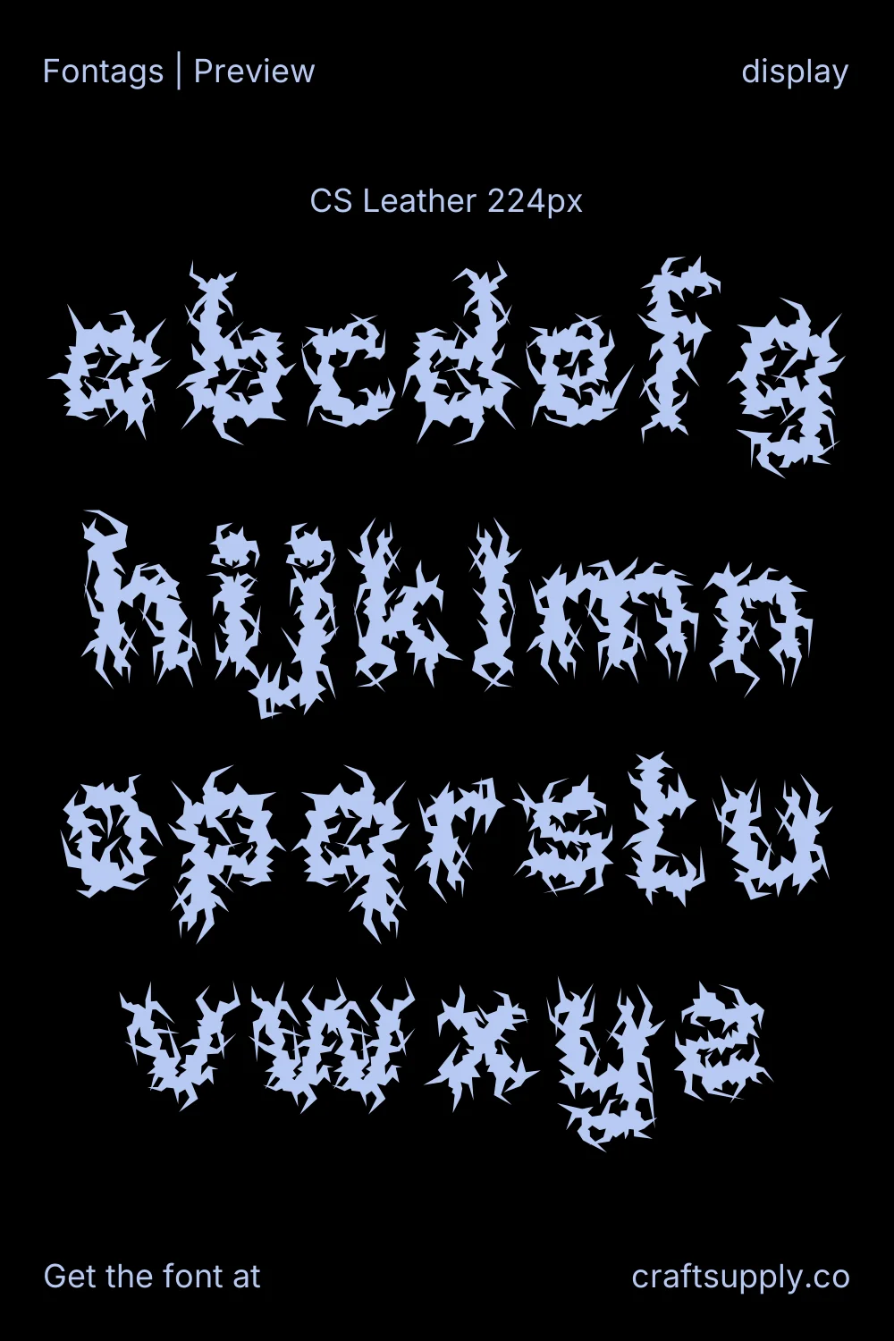 CS Leather specimen 10